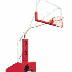 Bison T-Rex Side Court Portable Basketball System, 72 X 42 Inch Glass Backboard