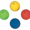 Sportime Elementary PVC Shot Puts, 14 And 17.6 Ounce, Assorted Colors, Set Of 4