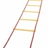 Champion Sports Economy Agility Ladder With Carrying Bag, 20 Feet