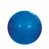 Gymnic Physio Therapy Ball, 38 Inch, Blue