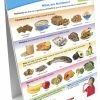 Sportime MyPlate Food Groups Flip Charts, Grades 1 To 4, Set Of 10