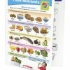 Sportime Food Nutrients Visual Learning Guide, 4 Pages, Grades 1 To 4