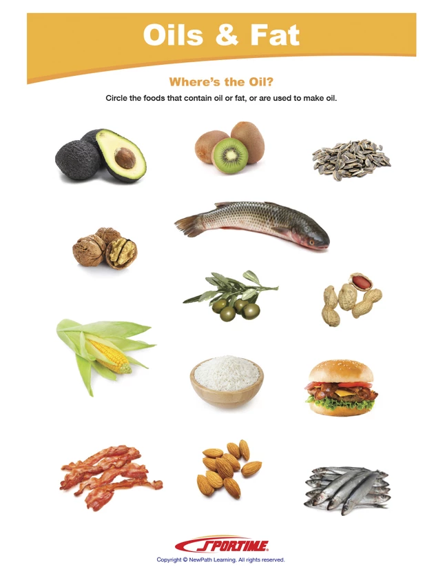 Sportime Oils & Fat Visual Learning Guide, 4 Pages, Grades 1 To 4 - Image 2