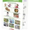 Sportime Making Healthy Choices Visual Learning Guide, 4 Pages, Grades 1 To 4