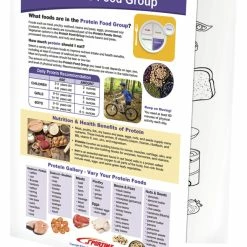 Sportime Protein Food Group Visual Learning Guide, 4 Pages, Grades 5 To 9