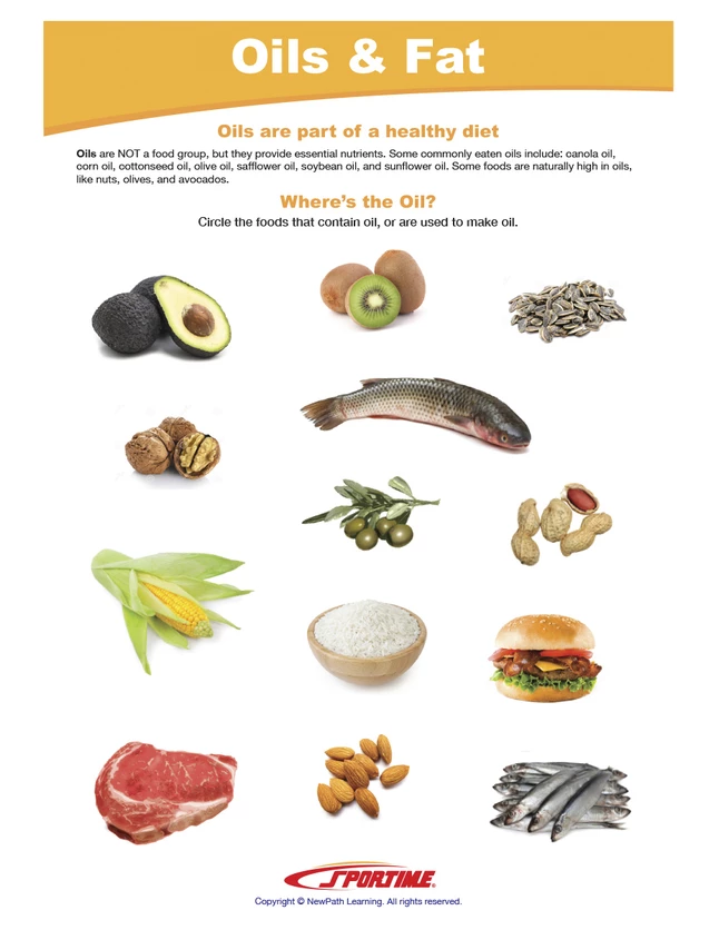 Sportime Oils & Fat Visual Learning Guide, 4 Pages, Grades 5 To 9 - Image 3