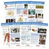 Sportime All About Opioid Drugs Bulletin Board Charts, Set Of 7, Grades 5 To 12