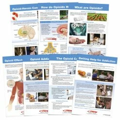 Sportime All About Opioid Drugs Bulletin Board Charts, Set Of 7, Grades 5 To 12