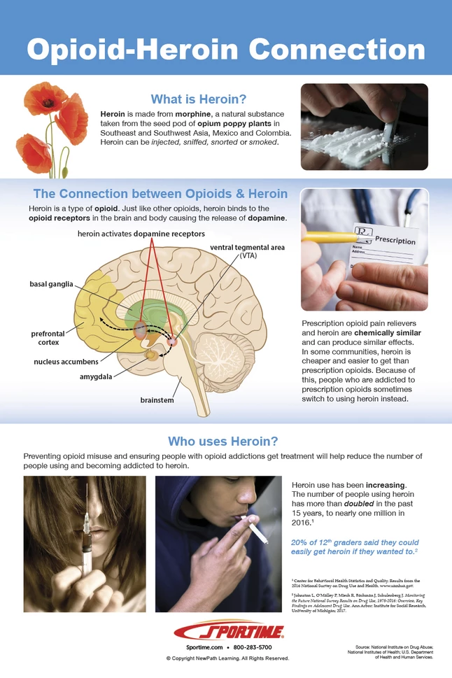 Sportime All About Opioid Drugs Bulletin Board Charts, Set Of 7, Grades 5 To 12 - Image 5