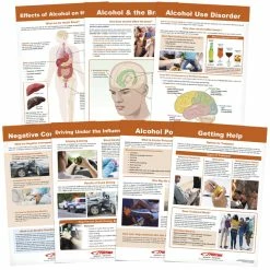 Sportime Alcohol Abuse And Addiction Bulletin Board Charts, Set Of 7, Grades 5 To 12