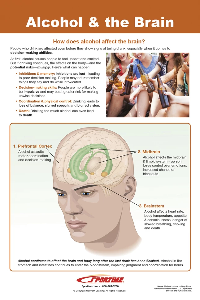 Sportime Alcohol Abuse And Addiction Bulletin Board Charts, Set Of 7, Grades 5 To 12 - Image 3